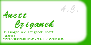 anett cziganek business card